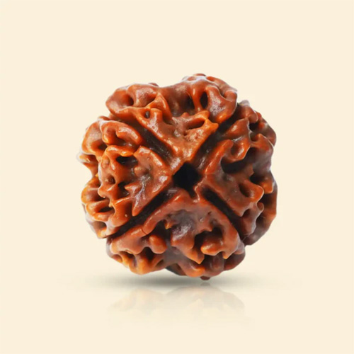 product-22 4 Mukhi Rudraksha - Image 1